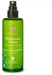 Pfefferminzwasser Bio Spray 100 ml