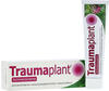 Traumaplant Schmerzcreme Creme 100 Gramm