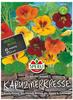 Mein schöner Garten DE SPERLI Kapuzinerkresse 'Rankender Roland' EH001631-001