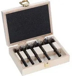 Bosch EXPERT Wood Forstnerbohrer Set 5tlg. (15/20/25/30/35mm)