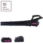 Gomag Akku Laubbl&auml;ser 20V GO-LAB700 20V 155 km/h Softgrip 2,0 Ah Starterkit