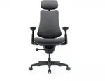 Libernovo Omni Gen Dynamic Ergonomischer Stuhl - Graphite Gray