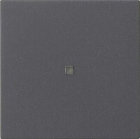 Gira Funk-Bedienaufsatz 549528