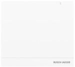 Busch-Jaeger System Access Point 2.0 SAP/S.13 2CKA006200A0154