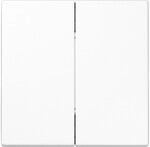 Jung Funk-Wandsender aws ENO LS 995 WW ENOLS995WW