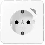 Jung SCHUKO Steckdose 16 A 250V BT CD 1521 S WW