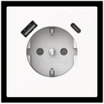 Busch-Jaeger SCHUKO-/USB-A+C Steckdose 20 EUCB2USBAC-44M
