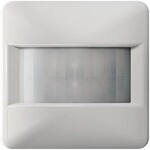 Jung Bewegungsmelder BT CD 17181 LG BTCD17181LG