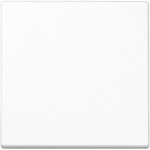 Jung Steuertaste Standard A 1700 BF WW A1700BFWW