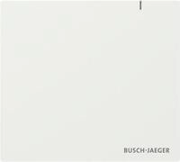 Busch-Jaeger System Access Point SAP.13 2CKA006200A0868