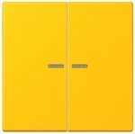 Jung Wippe 2fach m. Lichtleiter LC 995 KO5 263 LC995KO5263