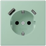 Jung SCHUKO Steckdose LC 1520-15 CA 217 LC1520-15CA217