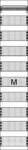Striebel&John Mediafeld FM19P 2CPX054026R9999