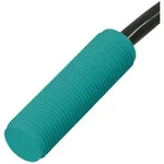 Pepperl+Fuchs Fabrik Sensor NBN4-12GK50-E2