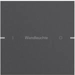 Gira Wippenset 1-fach 5031928