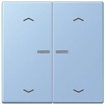 Jung Wippe mit Lichtleiter LC 102 KO5P 207 LC102KO5P207
