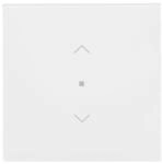 Busch-Jaeger Wippe 1-fach mit Symbol 6232-10-44G 2CKA006220A0936