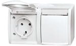 Busch-Jaeger Steckdose 2fach 20/2 EWN-54 2CKA002084A0715