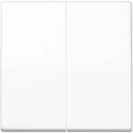Jung Wippe aws AS 591-5 WW AS591-5WW