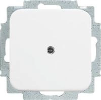 Busch-Jaeger Blindzentralscheibe aws 2538-214 2CKA001715A0275