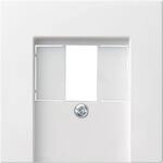 Gira Zentralplatte TAE rws 027627