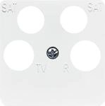Busch-Jaeger Zentralscheibe aws 1743/10-04-214 2CKA001753A8659