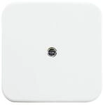 Busch-Jaeger Zentralscheibe aws VDo 2536-214 2CKA001724A0921