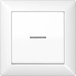 Jung Abdeckung Lichtleiter aws AS 590 KO5 WW AS590KO5WW