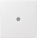 Gira Zentraleinsatz rws-gl 027403