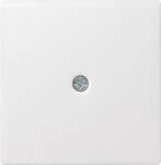 Gira Zentralpl.Schnurabl. rws 027427