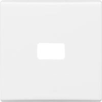 Busch-Jaeger Wippe aws 2120-34 2CKA001731A1635