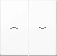 Jung Wippe Symbole aws AS 591-5 P WW AS591-5PWW