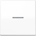 Jung Wippe Lichtleiter aws AS 591 KO5 WW AS591KO5WW