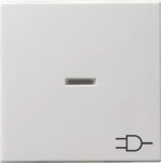 Gira Wippe Kontrollf. rws-gl 020903