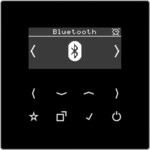 Jung Smart DAB+ Digitalradio DAB LS BT SW DABLSBTSW