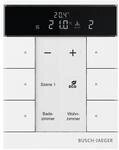 Busch-Jaeger Raumtemperaturregler SBS/U6.0.11-84 2CKA006330A0001