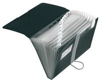 Herlitz F&auml;chermappe easy orga to go 11208394 A4 12F&auml;cher PP schwarz 127002290