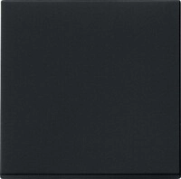 Gira Wippe sw 0296005