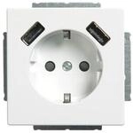 Busch-Jaeger SCHUKO-2x USB Steckdose 20 EUCB2USB-84 2CKA002011A6273