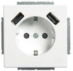 Busch-Jaeger SCHUKO-2x USB Steckdose 20 EUCB2USB-884 2CKA002011A6277