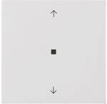 Gira Funk-Bedienaufsatz 5494112