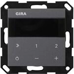 Gira UP-Radio IP 232028