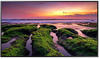 Samsung QB50B Digital Signage Flachbildschirm 127 cm (50") VA WLAN 350 cd/m² 4K