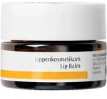 DR. HAUSCHKA Lippenkosmetikum