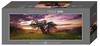 Heye Panoramapuzzle 2000 Teile - Alexander von Humboldt, Oak Tree
