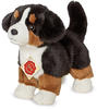 Teddy-Hermann - Berner Sennenhund Welpe stehend, 23 cm