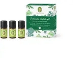 Primavera Set Duftende Waldkraft