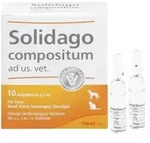 Solidago compositum vet. Ampullen 10 St.