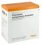 Coenzym compositum Ampullen 100 St.