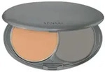 TOTAL FINISH FOUNDATION